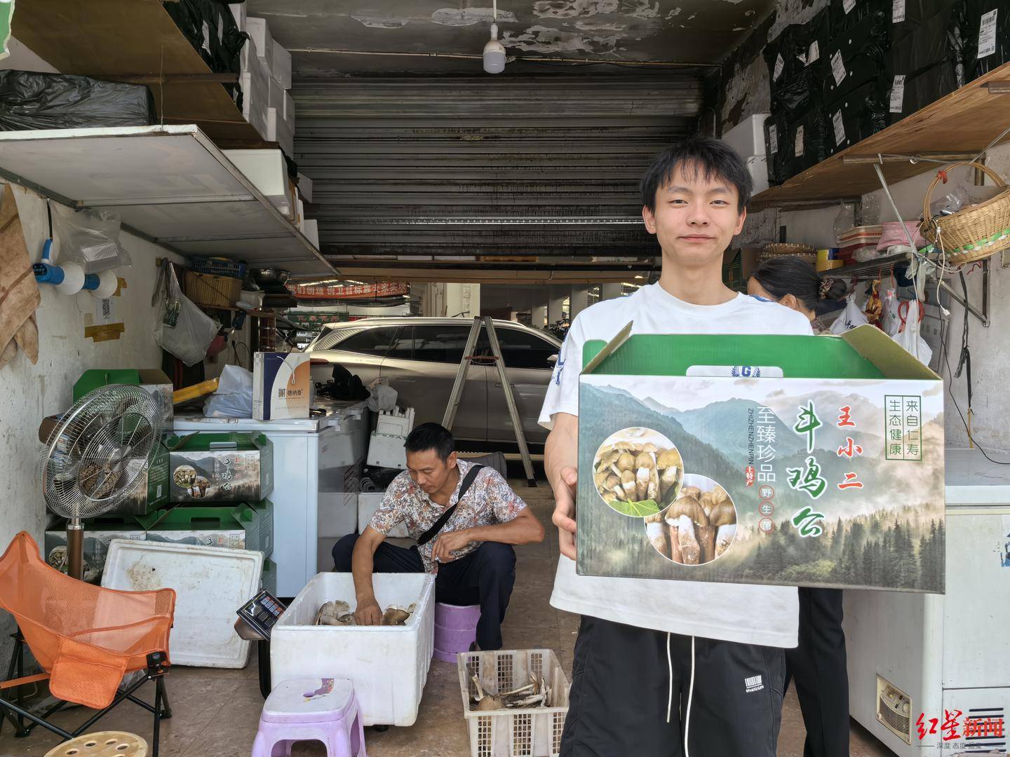 皇冠信用网在线开户_“天价”鸡枞调查：最贵卖到1800元/公斤！雨水少致产量低皇冠信用网在线开户，多地价高客少