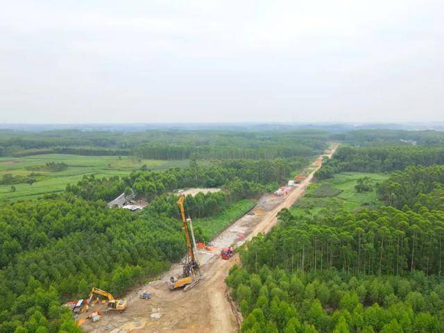 怎么注册皇冠信用代理_设计时速350公里、新建4座车站怎么注册皇冠信用代理！广西这条高铁有新进展！