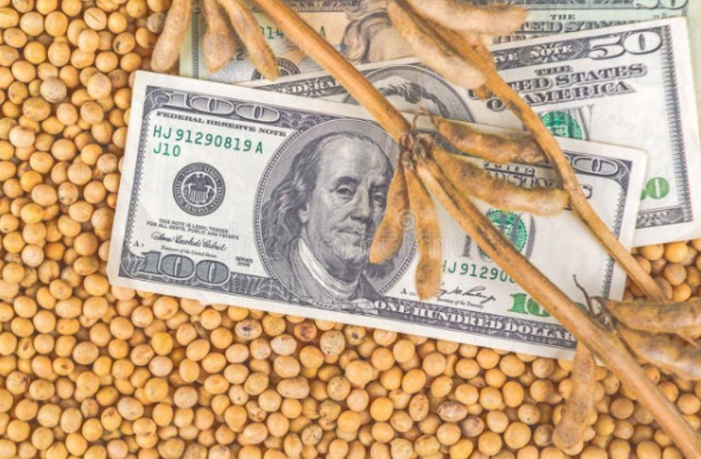 皇冠信用網开户_不提关税皇冠信用網开户，却要求中国增加4倍进口美国大豆，特朗普打的什么算盘？