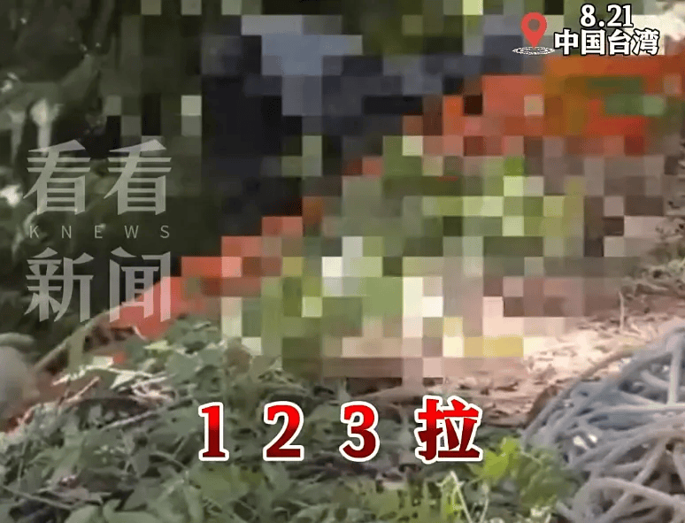 科希策vs鲁容贝罗克
_17岁少年遭好友虐杀弃尸! 当地警方: 9人落网,含1名现役海军中士