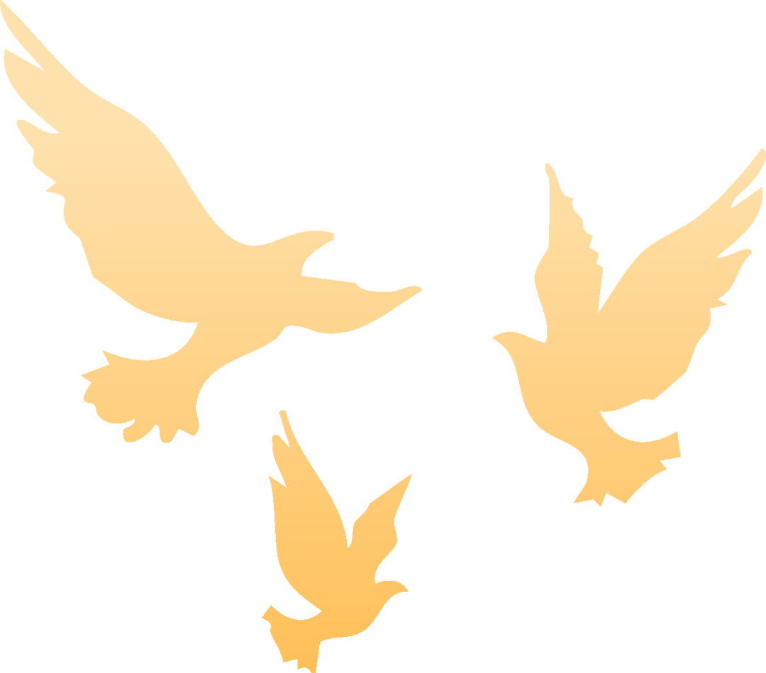 香港足球聯賽_就在明天香港足球聯賽！九三阅兵！这份直播观看攻略与亮点安排请收好