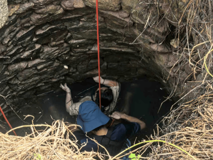 怎么申请皇冠信用網_多条蛇缠身怎么申请皇冠信用網，女子被咬了也不敢动！深井内苦撑54小时后……