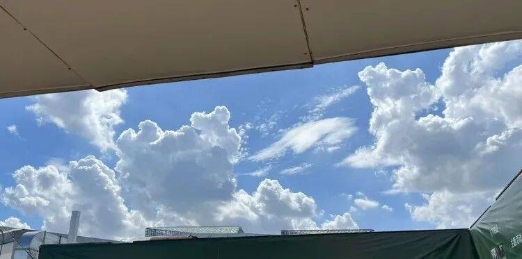 皇冠信用盘押金多少_上海又热成全国第一!网友连呼“回到黄梅天”皇冠信用盘押金多少,还要热多久?