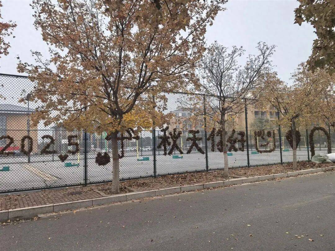 买球的正规网站
_河南一医学院学生用落叶在篮球场铁网上插出心肝肺胃、注射器等图案买球的正规网站
，学校：秋日限定浪漫