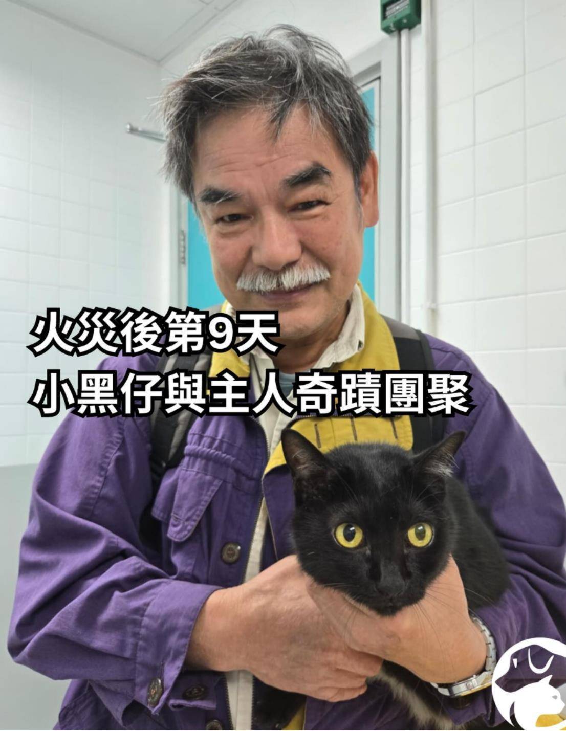 如何找当地皇冠代理
_两只猫在香港宏福苑大火后获救如何找当地皇冠代理
,灾后9日奇迹生还与主人团圆