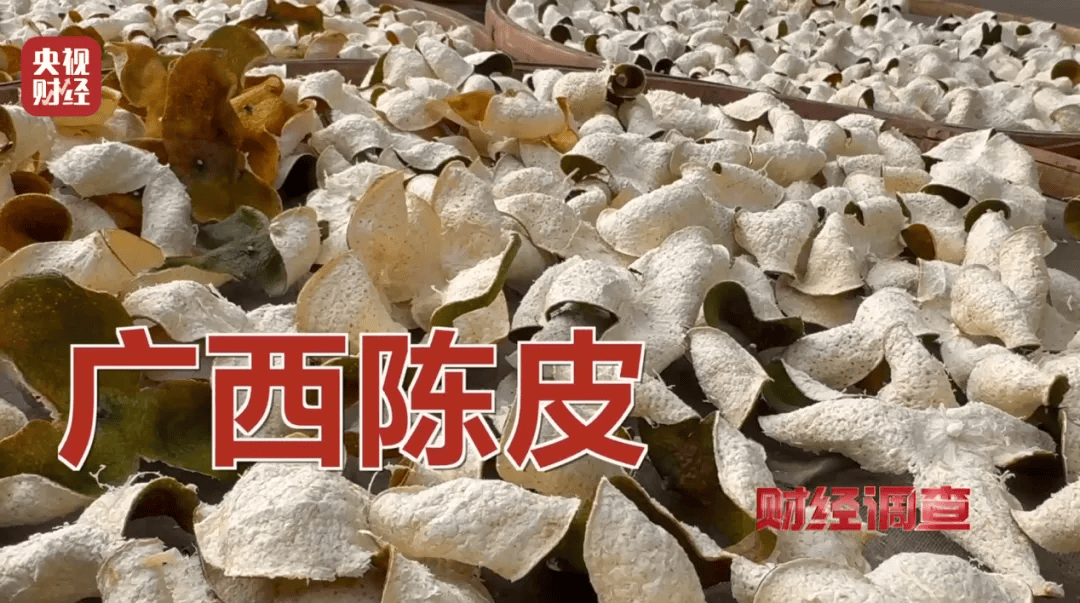 皇冠信用盘登2
_广西浦北凌晨通报——