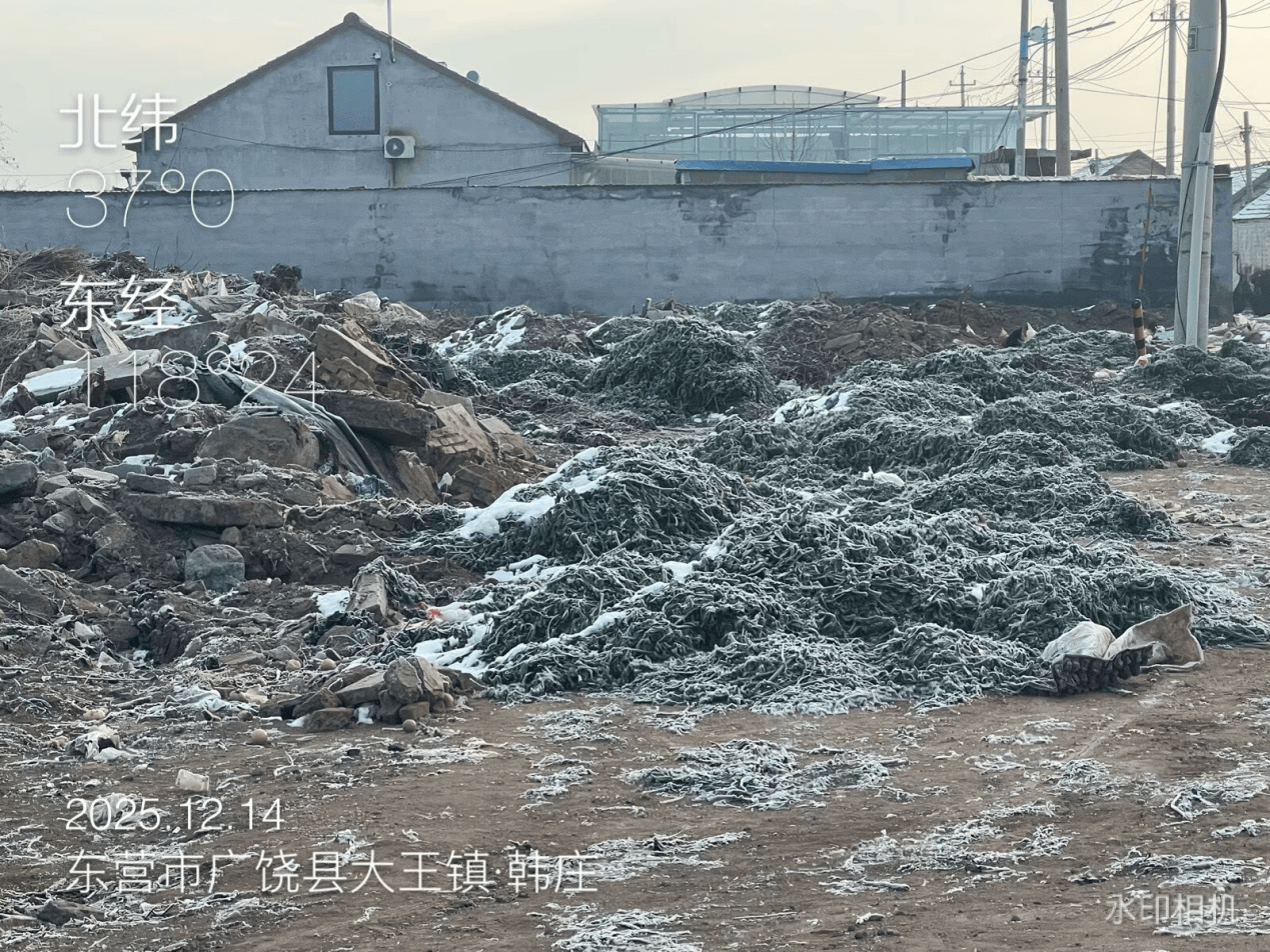 皇冠信用网代理登1_广饶县:农村人居环境亟待提升