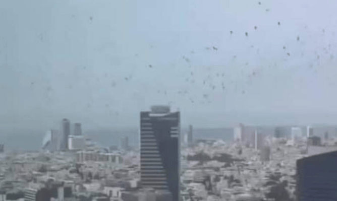 皇冠信用平台出租出售_特拉维夫上空出现鸦群皇冠信用平台出租出售，以色列疑似寻求停火，伊朗表示要为47年账“做个了断”